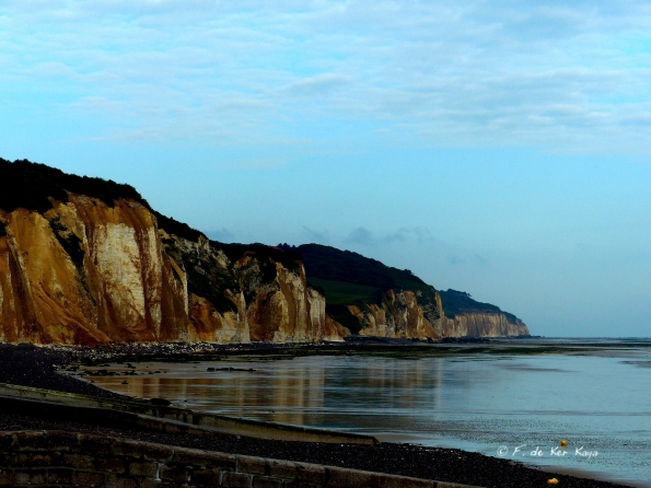 Low tide reflections